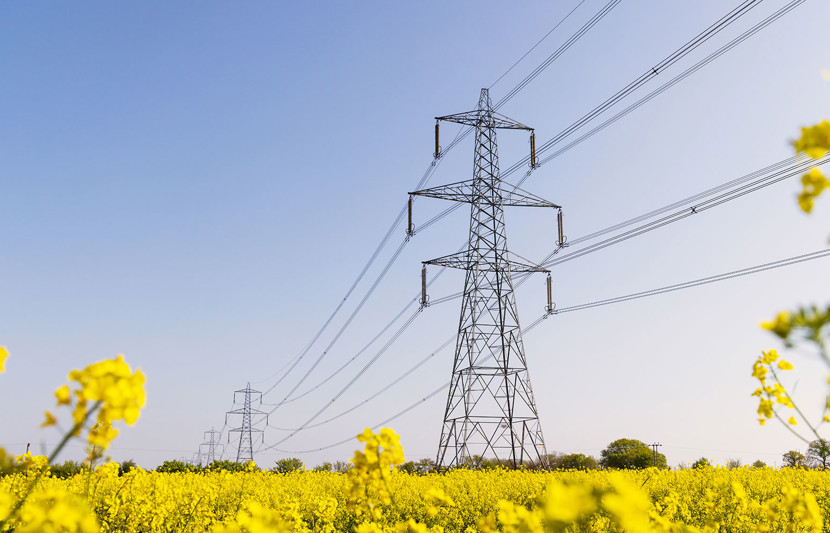 Transmission lines in field of rapeseed flowers in Hertfordshire, UK
