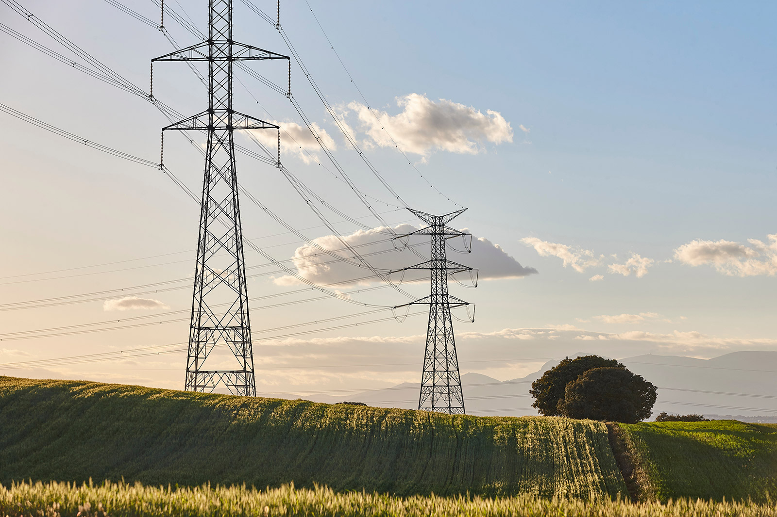 Transmission Lines In Rural Landscape