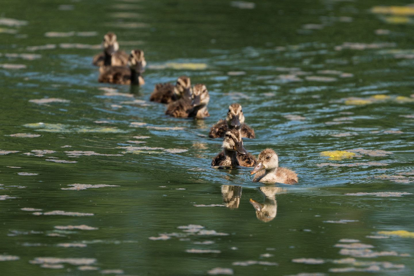 Adobestock 1762100248