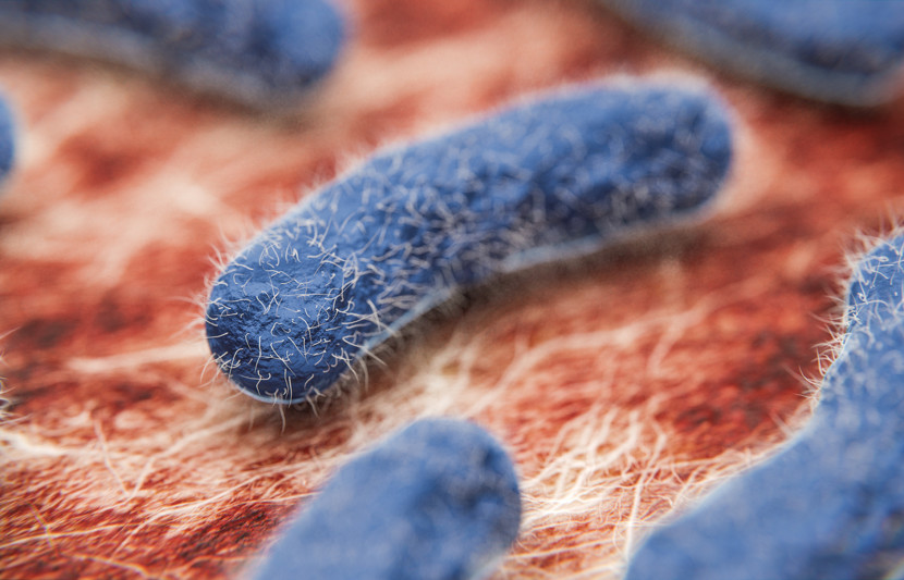 Adobestock 403619834