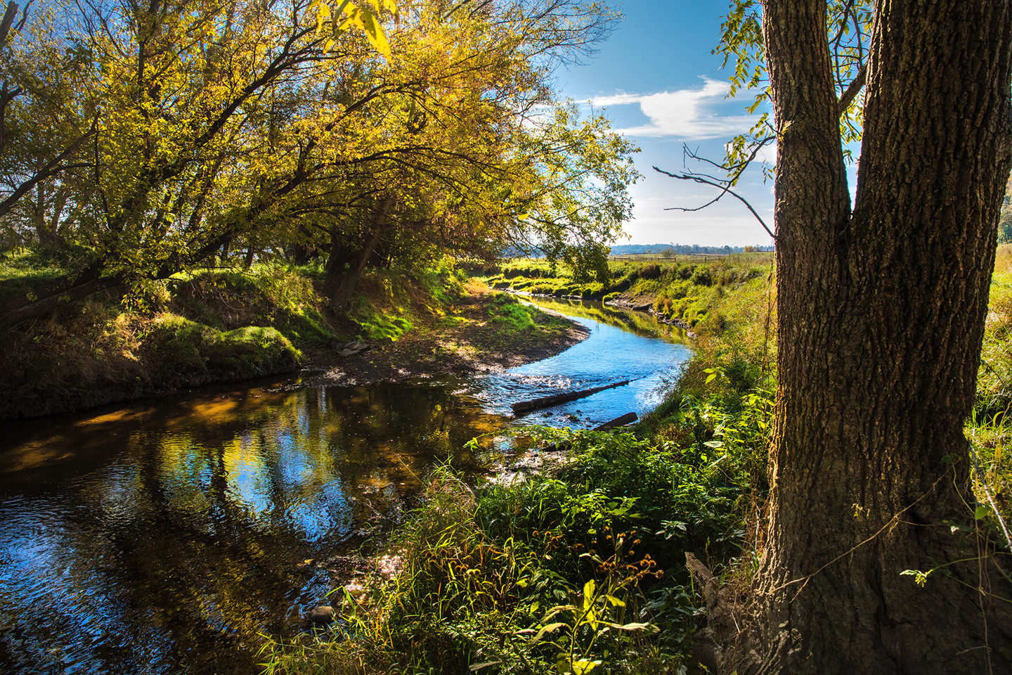 landscape with a stream and sunlight 