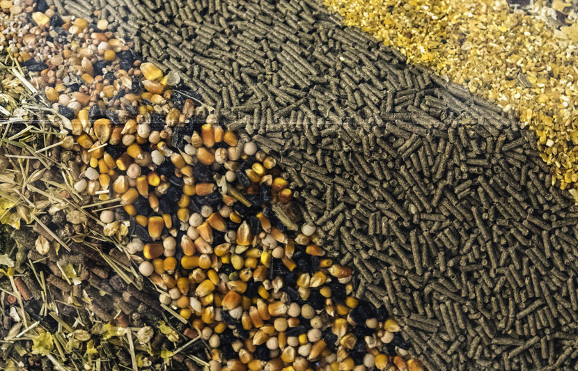 Adobestock 145009144