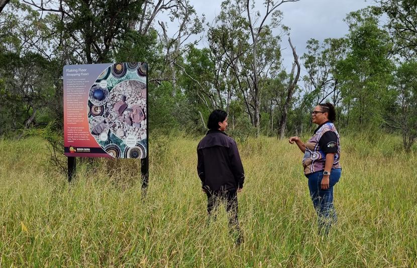 Insight Image Edited