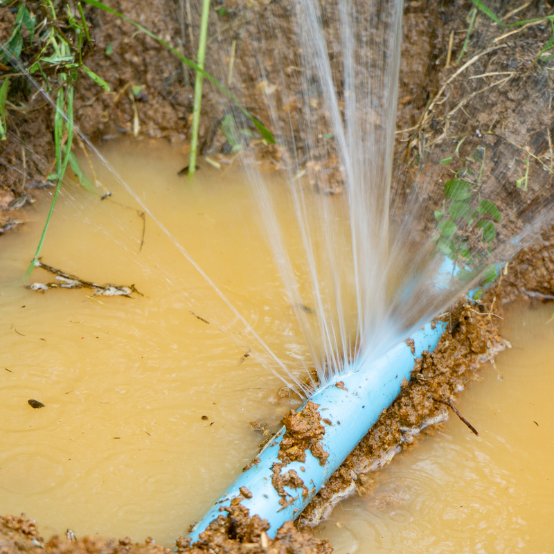 Adobestock 224487335