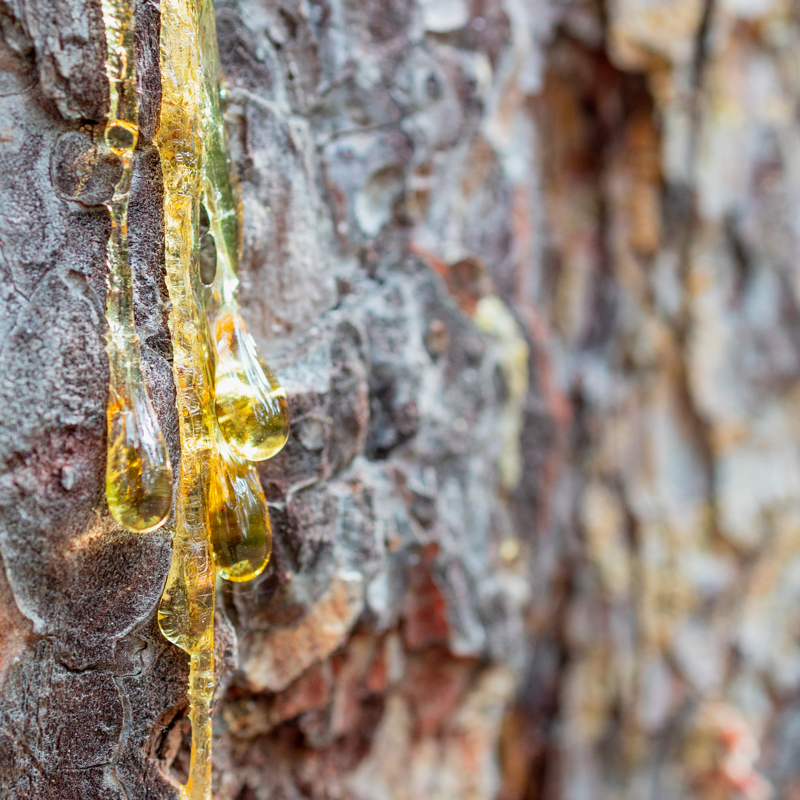 Adobestock 582816805