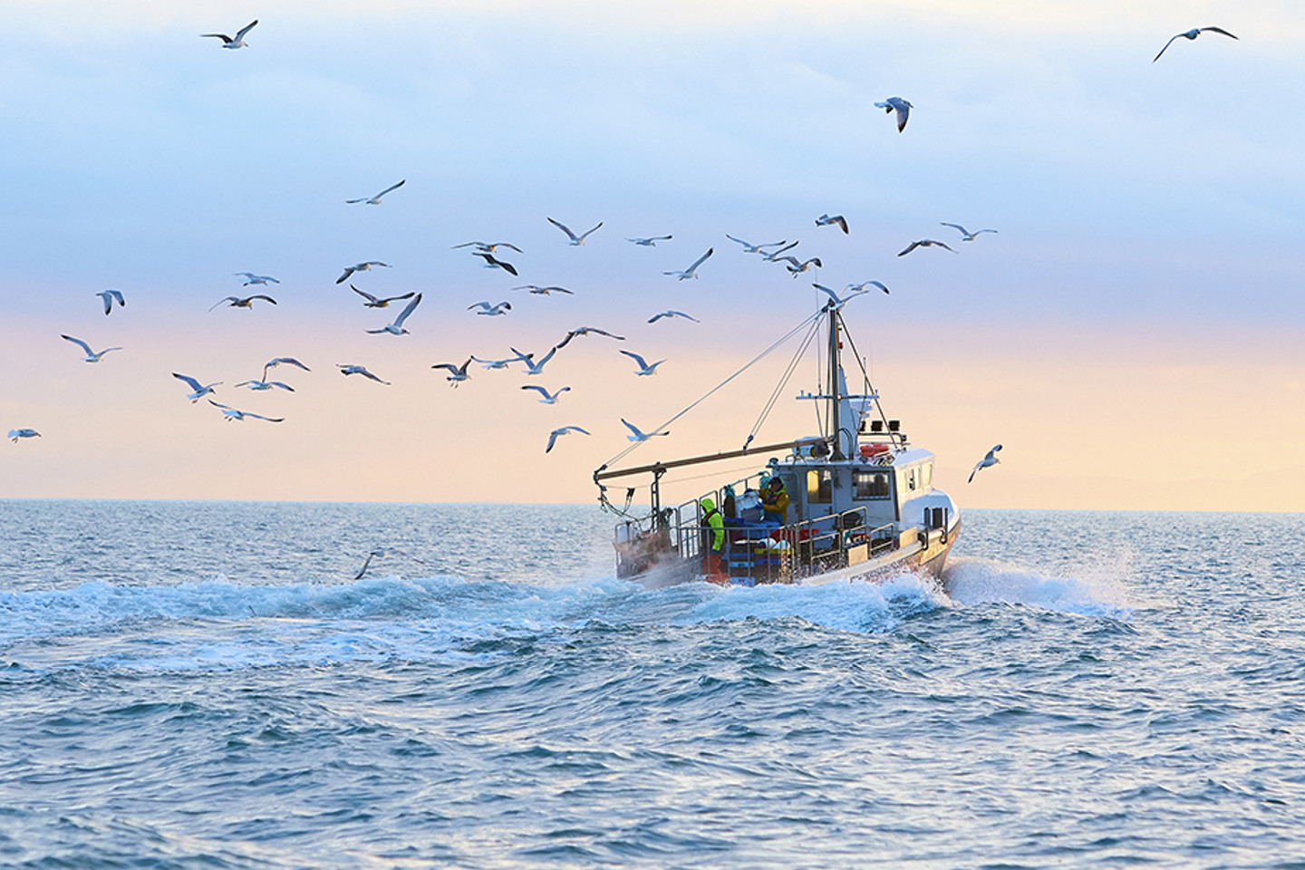 Fishing vessel at sea